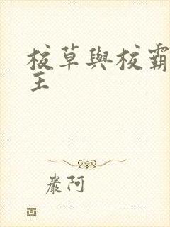 校草与校霸双男主