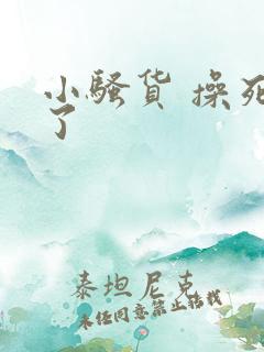 小骚货 操死我了