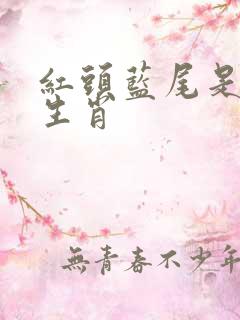 红头蓝尾是什么生肖