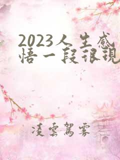 2023人生感悟一段很现实的话