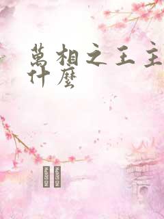 万相之王主要讲什么