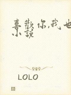 喜欢你,我也是小说