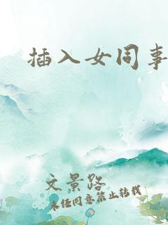 插入女同事小说