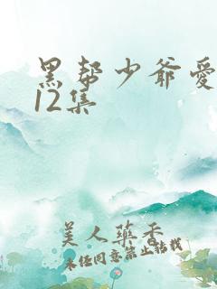 黑帮少爷爱上我12集