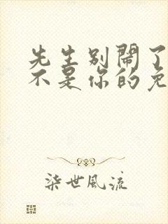 先生别闹了新娘不是你的免费观看全集
