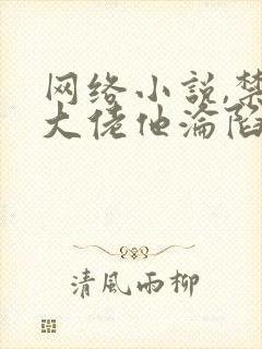 网络小说,禁欲大佬他沦陷了