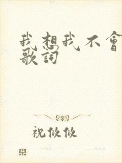 我想我不会爱你歌词