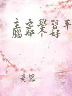 主要学习平板电脑哪个好