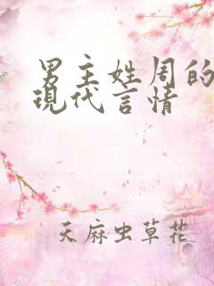 男主姓周的小说现代言情