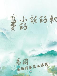 写小说的软件免费的