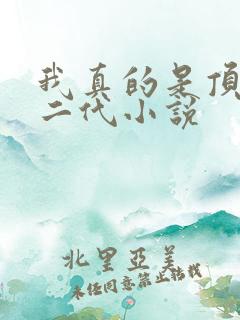 我真的是顶级富二代小说