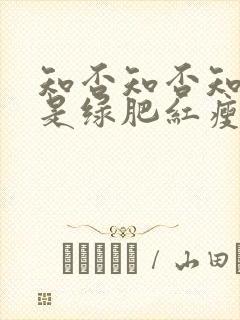 知否知否知否应是绿肥红瘦好看吗