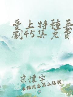 爱上特种兵电视剧45集免费观看