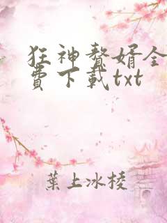 狂神赘婿全文免费下载txt