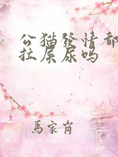 公猫发情都会乱拉屎尿吗