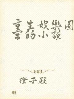 重生娱乐圈开后宫的小说