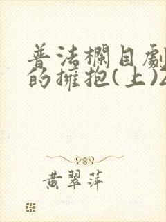 普法栏目剧破碎的拥抱(上)20120809