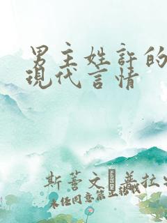 男主姓许的小说现代言情