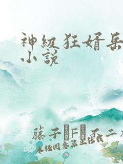 神级狂婿岳风 小说