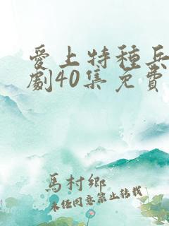 爱上特种兵电视剧40集免费观看