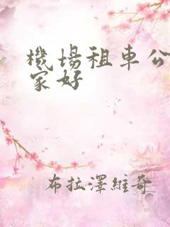 机场租车公司哪家好