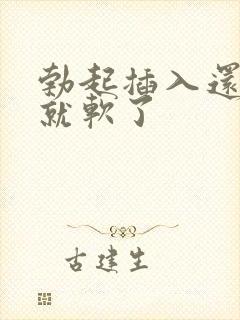 勃起插入还没射就软了