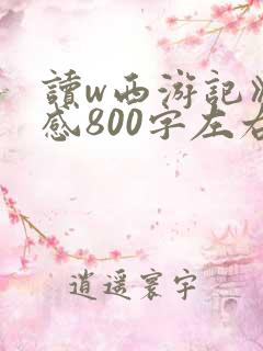 读w西游记》有感800字左右