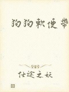 狗狗软便带血