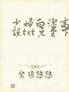 少妇白洁高义小说txt免费下载