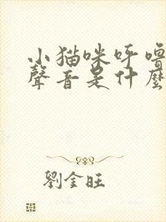 小猫咪呼噜噜的声音是什么意思