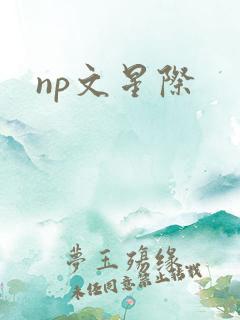 np文星际