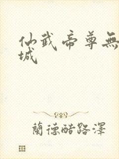 仙武帝尊无泪之城