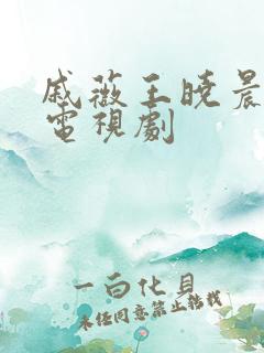 戚薇王晓晨演的电视剧