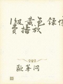 1级黄色录像免费播放
