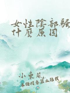 女性阴部骚痒是什么原因