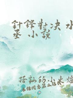 针锋对决 水千丞 小说