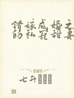 错嫁成婚之总裁的私宠甜妻全文阅读
