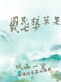 国民校草是女生战七少