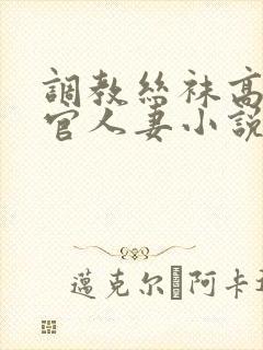调教丝袜高跟高官人妻小说