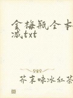 金梅瓶全本无删减txt