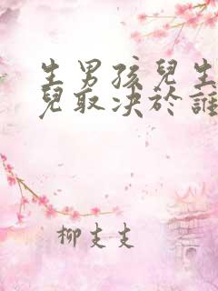 生男孩儿生女孩儿取决于谁