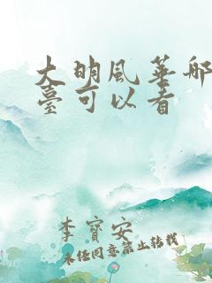大明风华哪个平台可以看