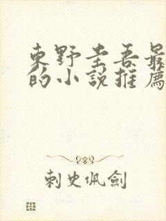 东野圭吾最好看的小说推荐