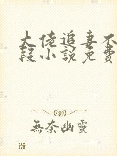 大佬追妻不择手段小说免费无弹窗
