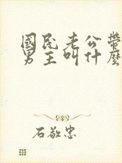 国民老公带回家男主叫什么