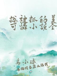 总被抓的美貌小可怜小说全文阅读