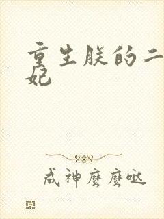 重生朕的二嫁皇妃