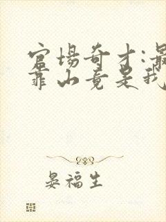 官场奇才:最强靠山竟是我自己李澜小说阅