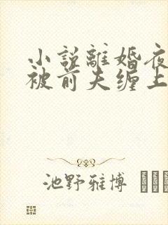 小说离婚夜,我被前夫缠上了txt