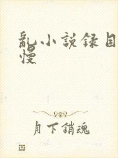 乱小说录目伦慢慢